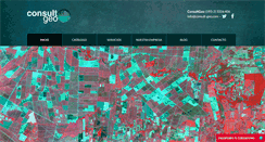 Desktop Screenshot of consult-geo.com