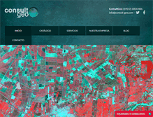 Tablet Screenshot of consult-geo.com